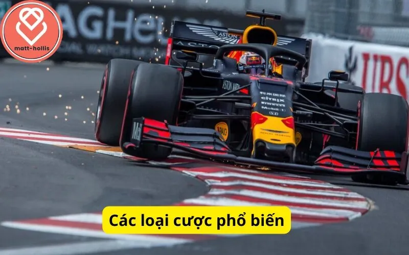 Các loại cược phổ biến