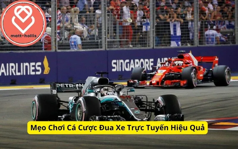 Mẹo Chơi Cá Cược Đua Xe Trực Tuyến Hiệu Quả