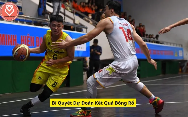 Bí Quyết Dự Đoán Kết Quả Bóng Rổ