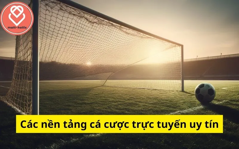 Các nền tảng cá cược trực tuyến uy tín