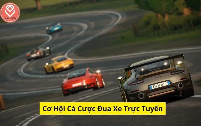 Cơ Hội Cá Cược Đua Xe Trực Tuyến