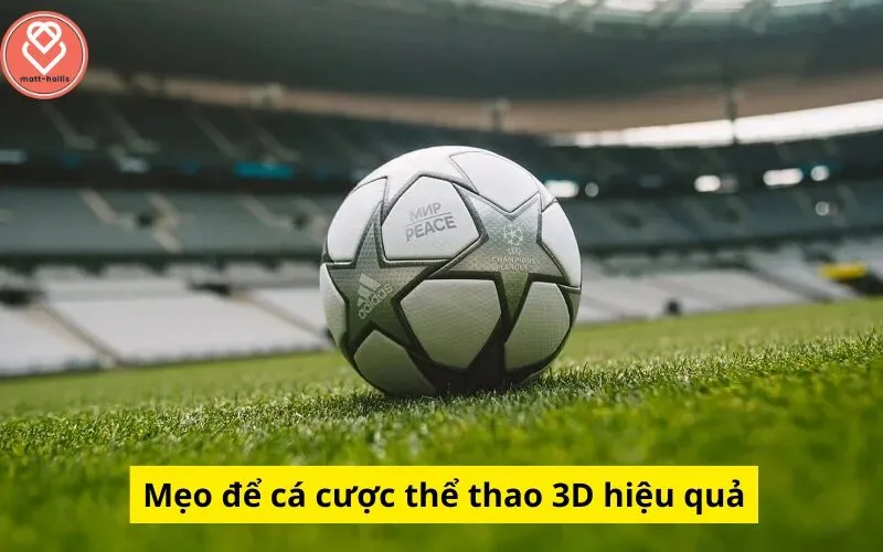 Mẹo để cá cược thể thao 3D hiệu quả