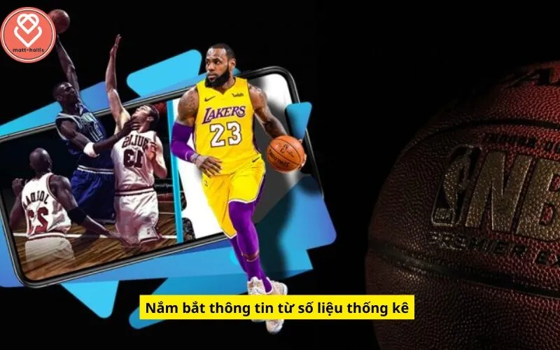 Nắm bắt thông tin từ số liệu thống kê