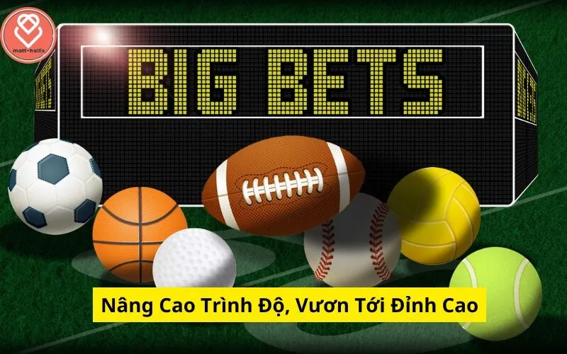 Nâng Cao Trình Độ, Vươn Tới Đỉnh Cao