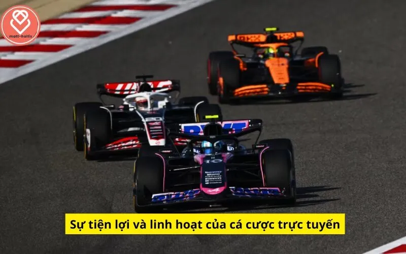 Sự tiện lợi và linh hoạt của cá cược trực tuyến