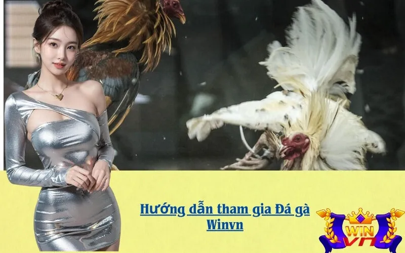Hướng dẫn tham gia Đá gà Winvn