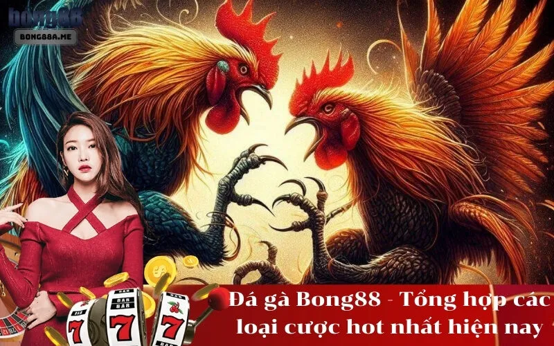 Đá gà Bong88 - Tổng hợp các loại cược hot nhất hiện nay