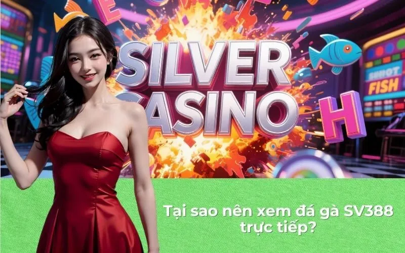 Tại sao nên xem đá gà SV388 trực tiếp?