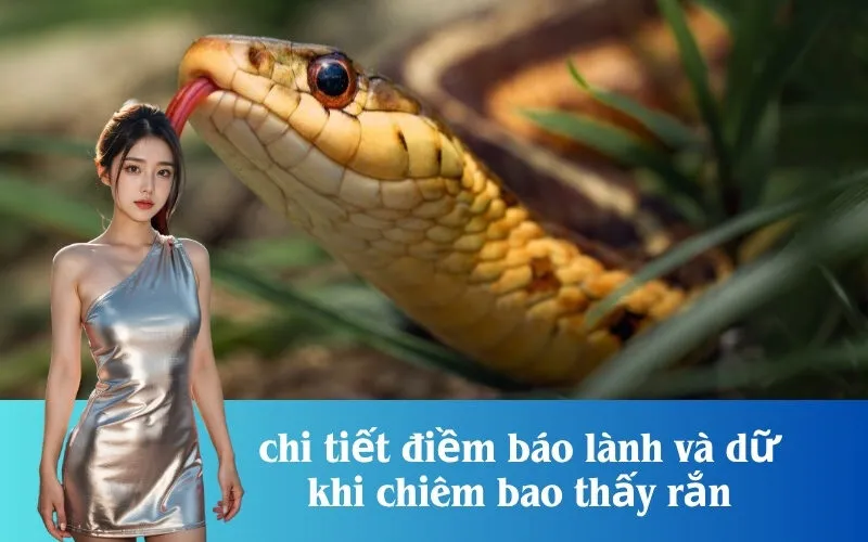 chi tiết điềm báo lành và dữ khi chiêm bao thấy rắn