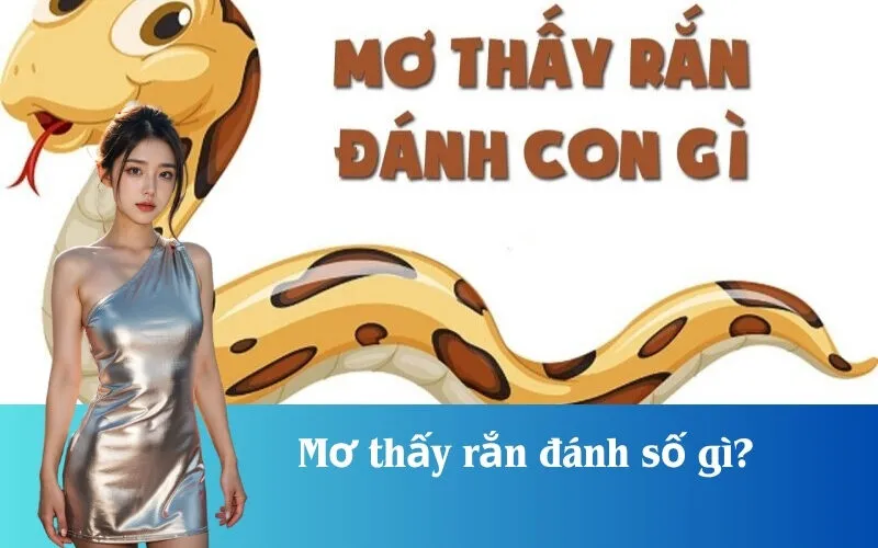 Mơ thấy rắn đánh số gì?